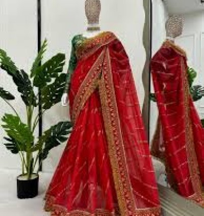 Regal Radiance: Red Saree with Extravagant Designs for Women
